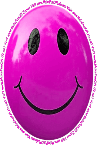 Picture of a smiley face and the words, ‘Visit www.MakeFunOfLife.net.’