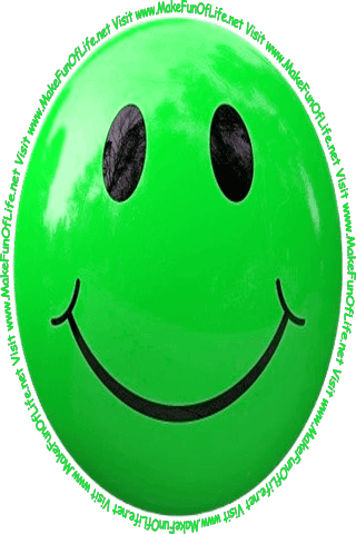 Picture of a smiley face and the words, ‘Visit www.MakeFunOfLife.net.’