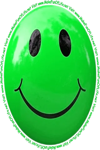 Picture of a dark blue smiley face and the words, 'Visit www.MakeFunOfLife.net.'