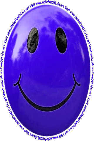 Picture of a light blue smiley face and the words, 'Visit www.MakeFunOfLife.net.'