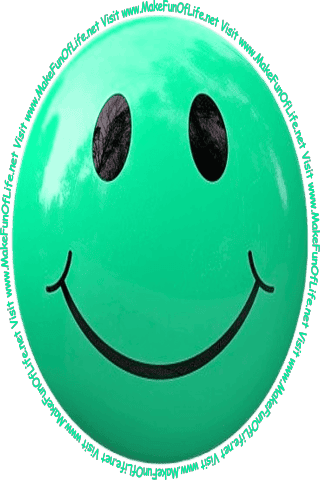 Picture of a smiley face and the words, ‘Visit www.MakeFunOfLife.net.’