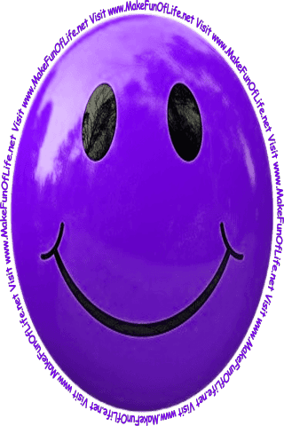 Picture of a smiley face and the words, ‘Visit www.MakeFunOfLife.net.’