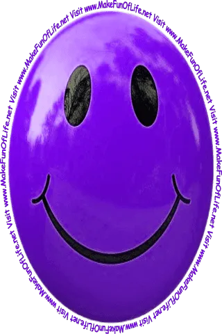 Picture of a smiley face and the words, ‘Visit www.MakeFunOfLife.net.’