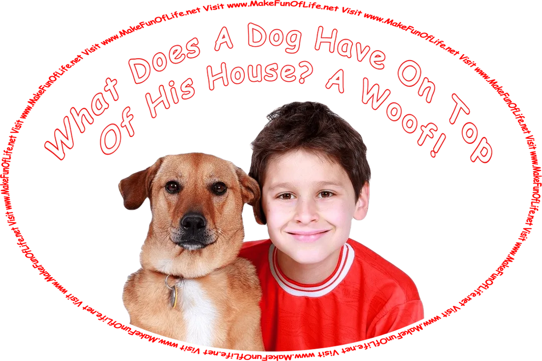 Picture of a medium-size brown dog with low-hanging ears next to a happy smiling boy, and the words, ‘What Does A Dog Have On Top Of His House? A Woof! - Visit www.MakeFunOfLife.net.’