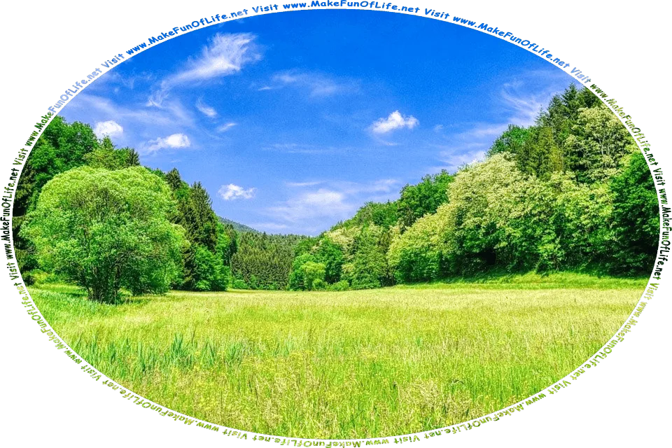 Picture of a meadow with flowering plants and green grass, green leafy trees on each side, green leafy trees covering the hills in the distance, and a blue sky with tiny white fluffy clouds, and the words, Visit www.MakeFunOfLife.net.