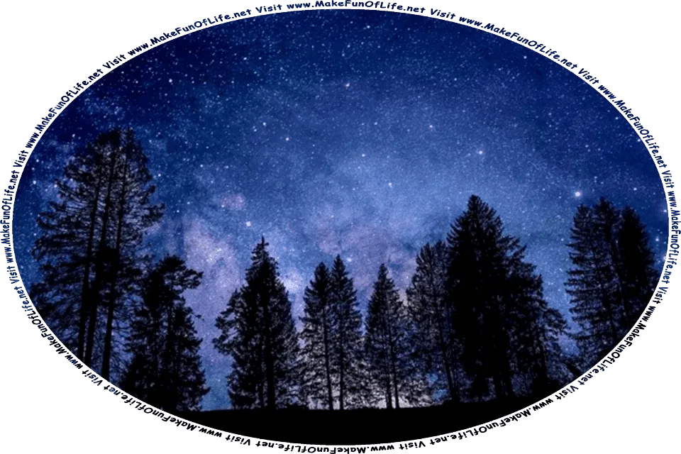 Picture of a wilderness area, with tall evergreen trees, a star-filled night sky overhead, and the words, Visit www.MakeFunOfLife.net.