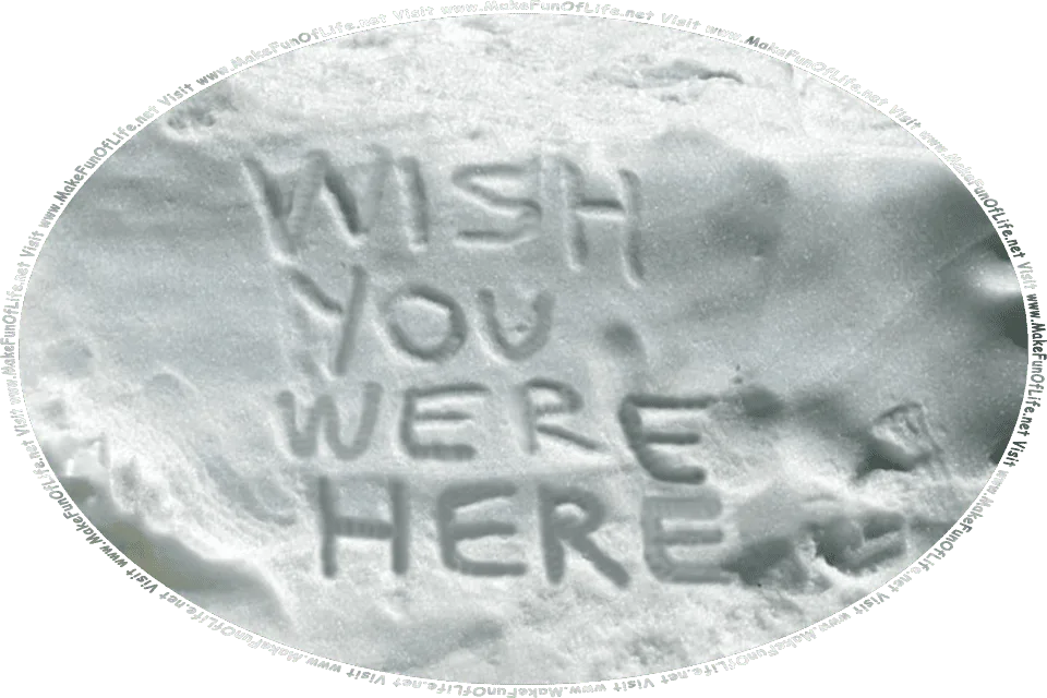 Picture of a snowbank with the words, Wish You Were Here, written on it with a finger, and the words, Visit www.MakeFunOfLife.net.