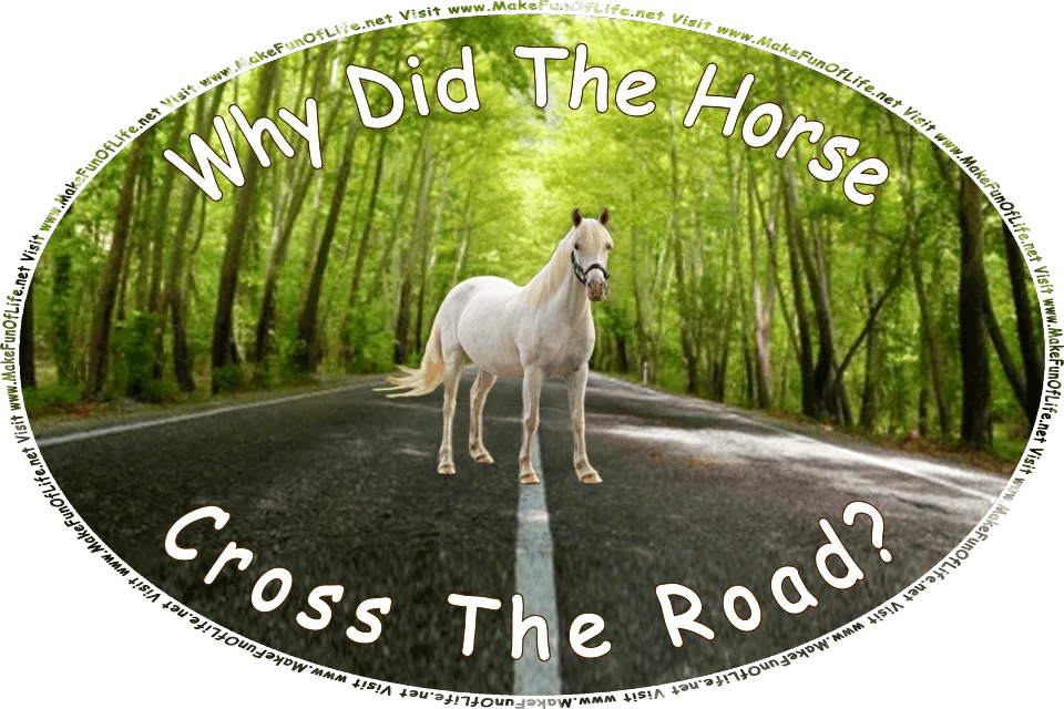 Picture of a horse crossing a road, and the words, Visit www.MakeFunOfLife.net.