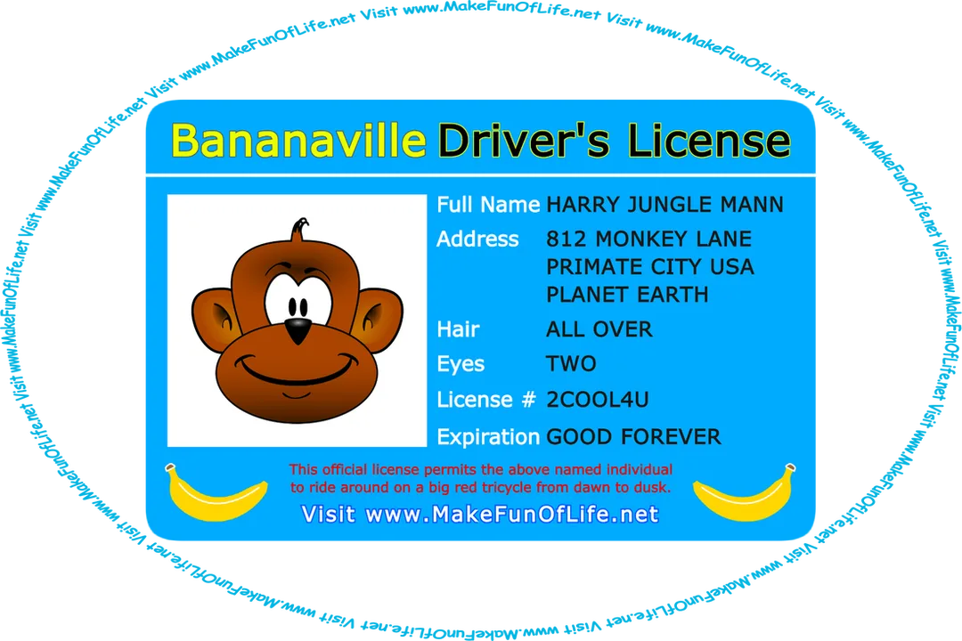 Picture of a card reading as follows, ‘Bananaville Driver’s License, Full Name Harry Jungle Man, Address 812 Monkey Lane, Primate City, U.S.A., Planet Earth, Hair All Over, Eyes Two, License Number 2 COOL 4 You, Expiration Good Forever, This official license permits the above named individual to ride around on a big red tricycle from dawn to dusk, a picture of a monkey and two bananas on the card, and the words, ‘Visit www.MakeFunOfLife.net.’