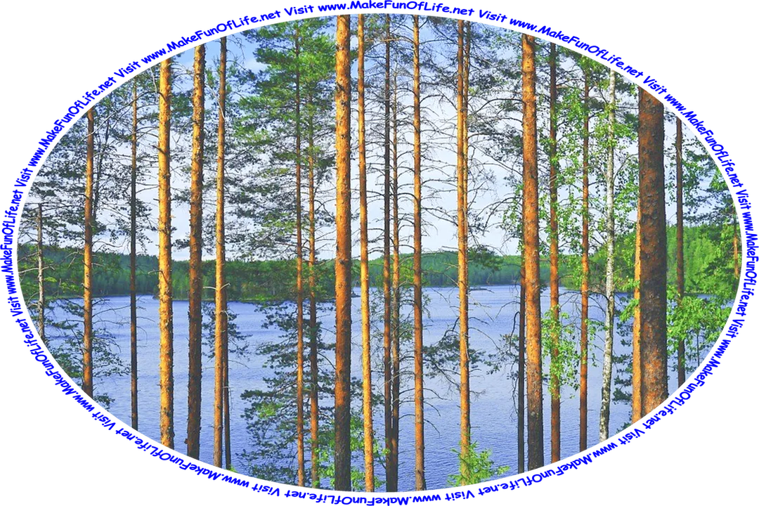 Picture of a calm lake seen through a group of tall, thin evergreen tree trunks, and the words, ‘Visit www.MakeFunOfLife.net.’