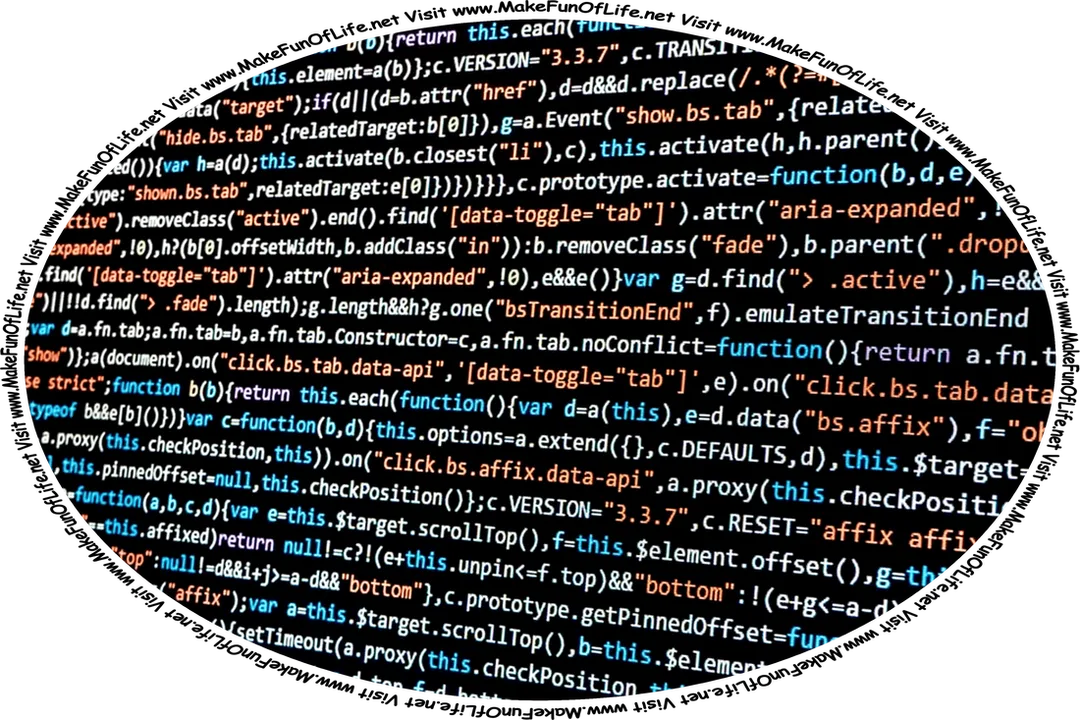 Picture of lines of computer code, or instructions written in keyboard characters, on a screen, and the words, ‘Visit www.MakeFunOfLife.net.’