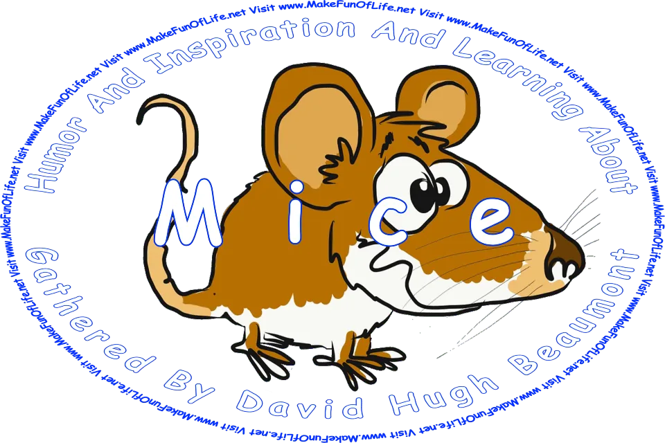 Picture of a happy smiling mouse, and the words, ‘Visit www.MakeFunOfLife.net.’