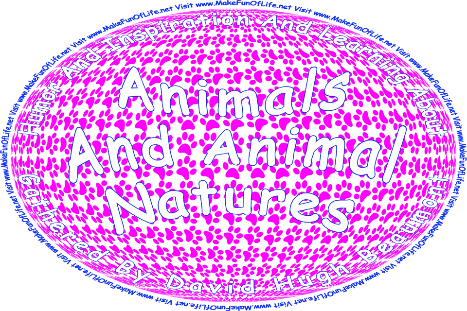 Picture of animal paw prints, and the words, ‘Animals And Animal Natures Gathered By David Hugh Beaumont - Visit www.MakeFunOfLife.net.’