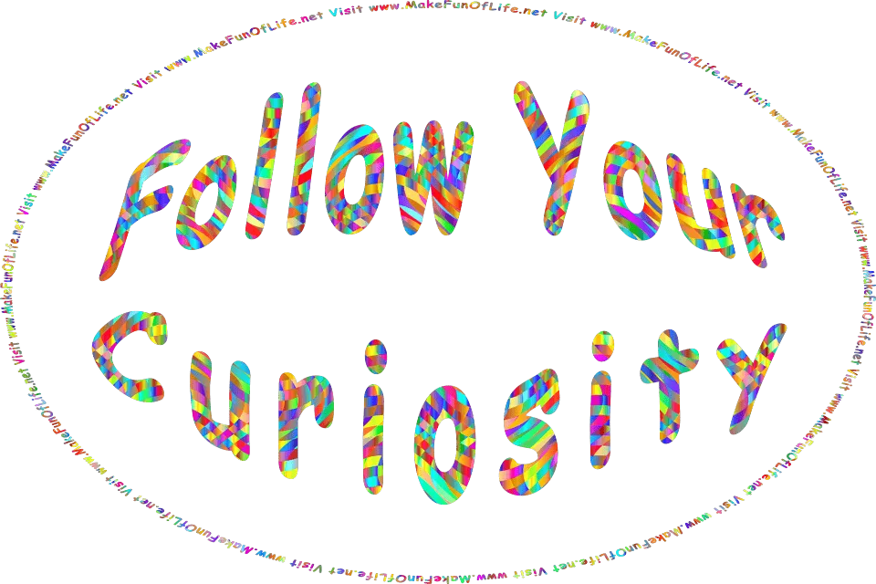 In bright colors, the words, Follow Your Curiosity - Visit www.MakeFunOfLife.net.