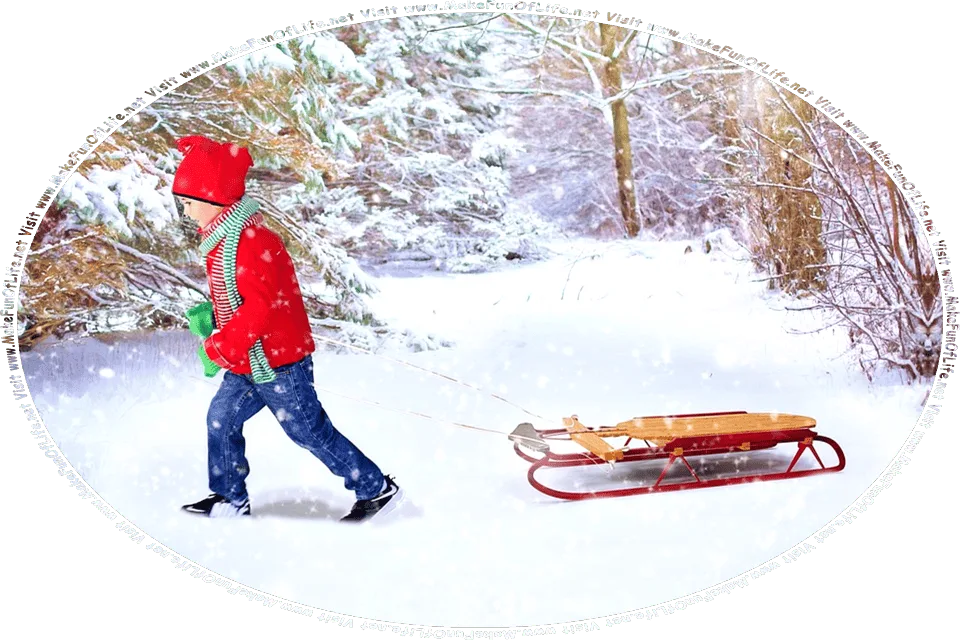 Picture of a child pulling a sled through the snow in the woods on a winter day, and the words, Visit www.MakeFunOfLife.net.