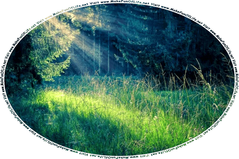 Picture of small green grassy area in a dense dark woods of green leafy trees, with a few sunbeams from the rising Sun shining through onto the grass to light up the area, and the words, Visit www.MakeFunOfLife.net.