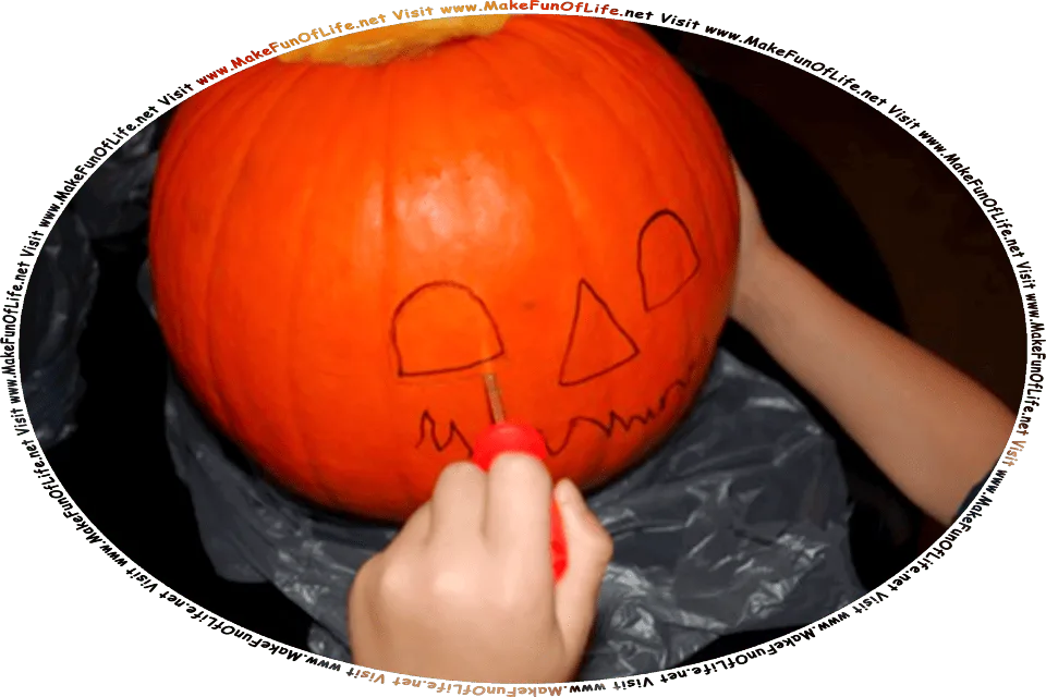 Picture of a child using a carving tool to make a jack o’lantern from a pumpkin, and the words, Visit www.MakeFunOfLife.net.