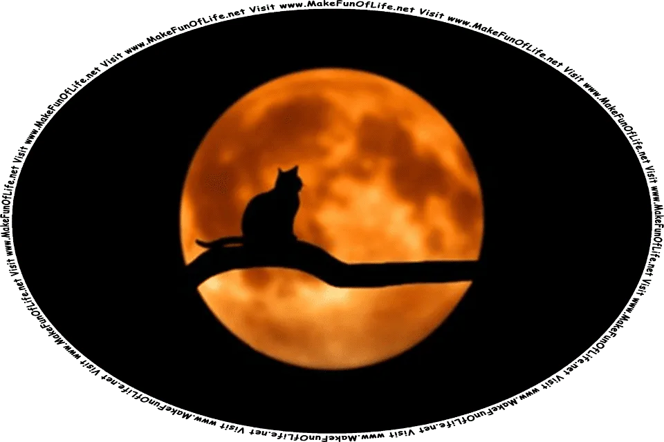 Picture of a cat sitting on a tree branch, silhouetted against the Moon in the night sky, and the words, Visit www.MakeFunOfLife.net.