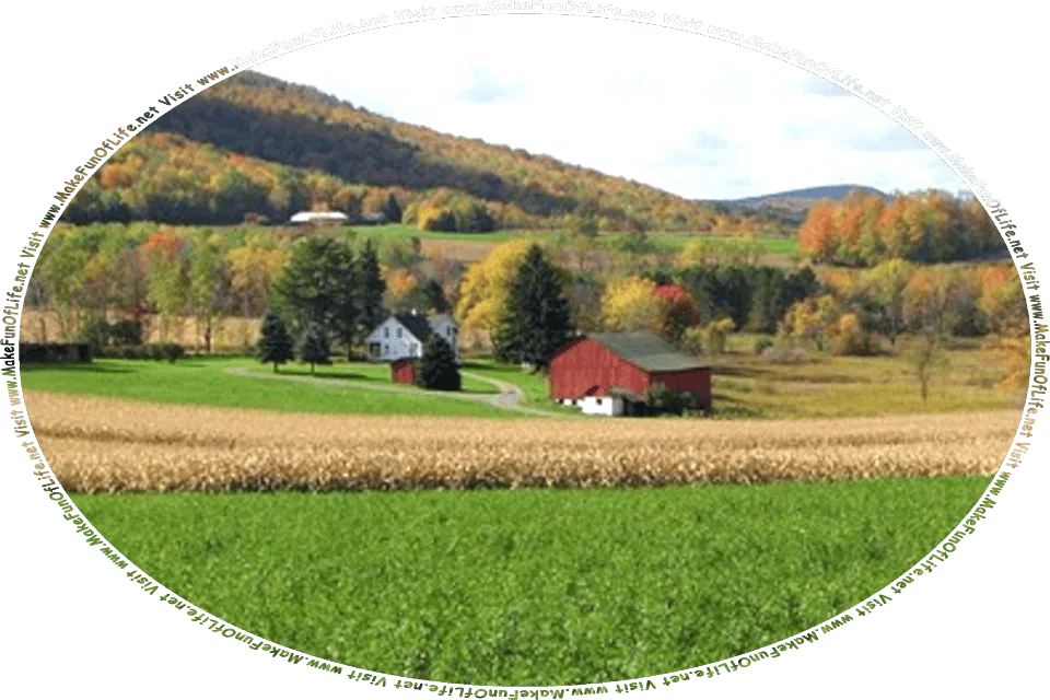 Picture of a farm, with a farmhouse and a big red barn, surrounded by farm fields, and the words, Visit www.MakeFunOfLife.net.