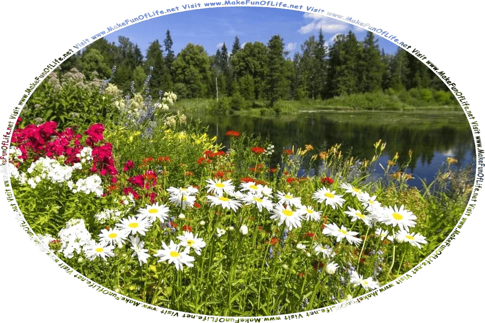 Picture of a wilderness area with flowering plants, a lake, green leafy trees across the lake, a blue sky with fluffy white clouds, and the words, Visit www.MakeFunOfLife.net.