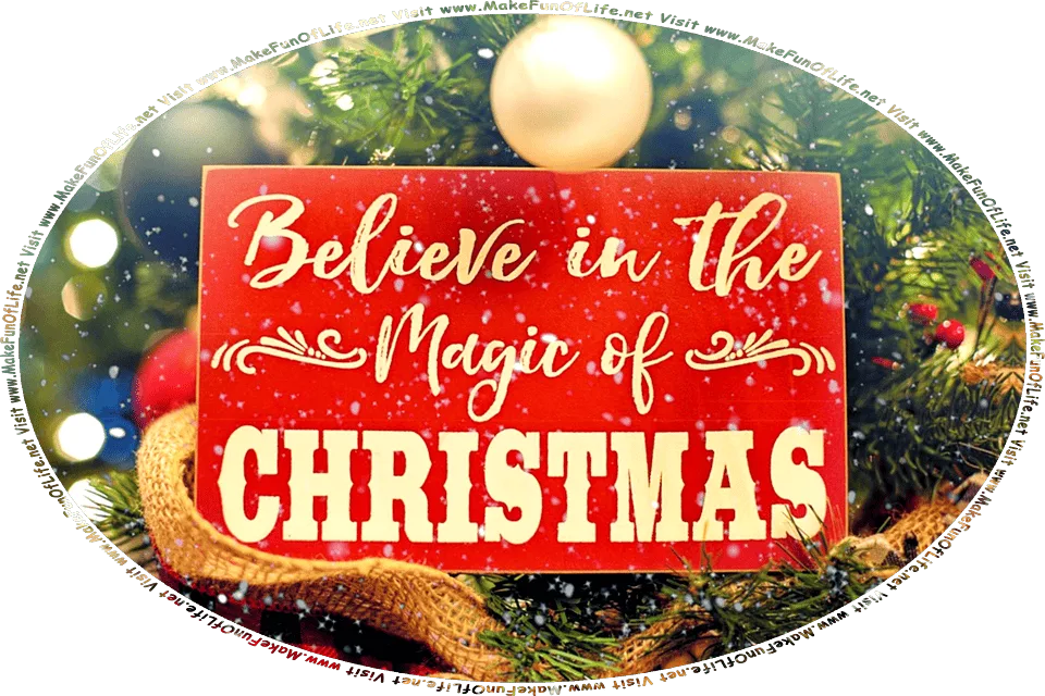 Picture of a red sign with the words, Believe in the magic of Christmas, hung on a Christmas tree, lightly falling snowflakes, and the words, Visit www.MakeFunOfLife.net.