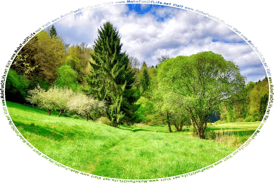 Picture of a footpath through a woodland, or an area of mixed trees and open green grassy areas, under a blue sky with fluffy white clouds, and the words, Visit www.MakeFunOfLife.net.