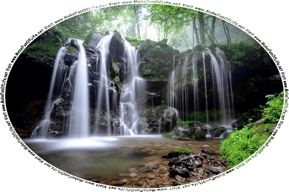 Picture of a waterfall in a dark woods, with green leafy trees overhead and small clumps of green grass and moss-topped rocks around the pool of water at the bottom of the waterfall, and the words, Visit www.MakeFunOfLife.net.