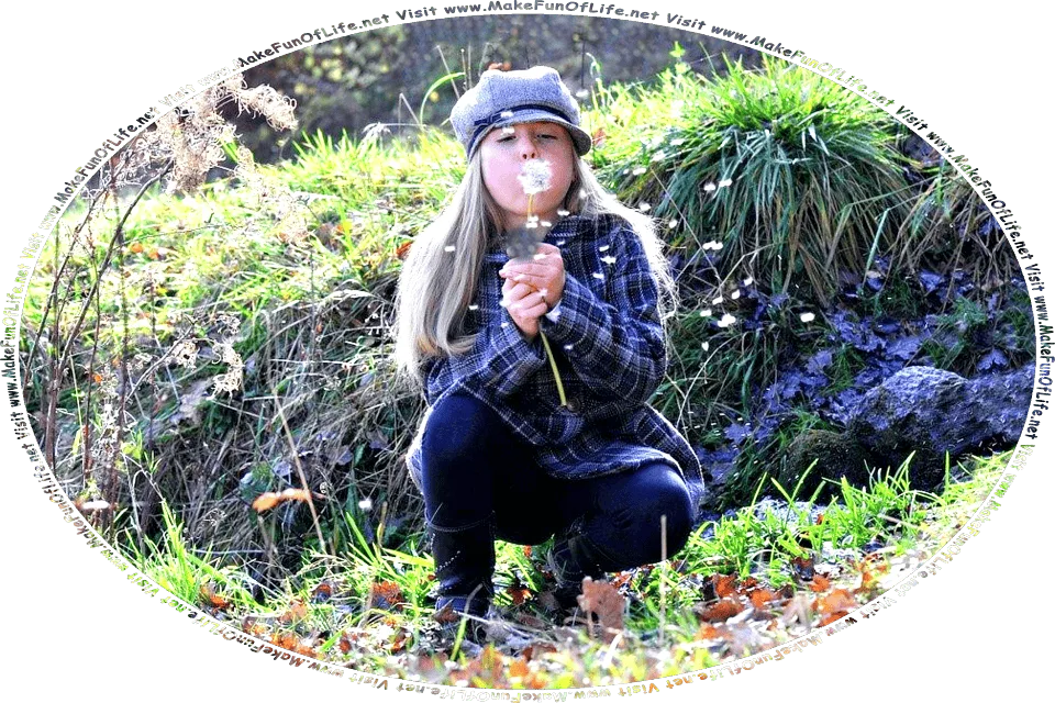 Picture of a girl blowing fluffy dandelion seed tufts into the breeze, and the words, Visit www.MakeFunOfLife.net.