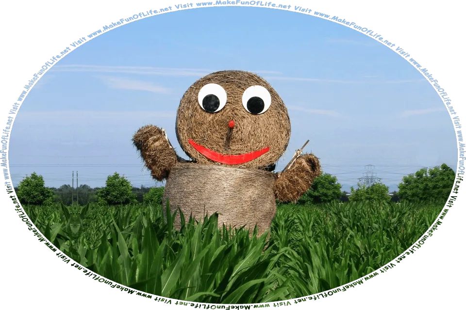 Picture of a cornfield with a scarecrow made of stacked bales of hay, with eyes, mouth, and nose made of plastic, and the words, Visit www.MakeFunOfLife.net.
