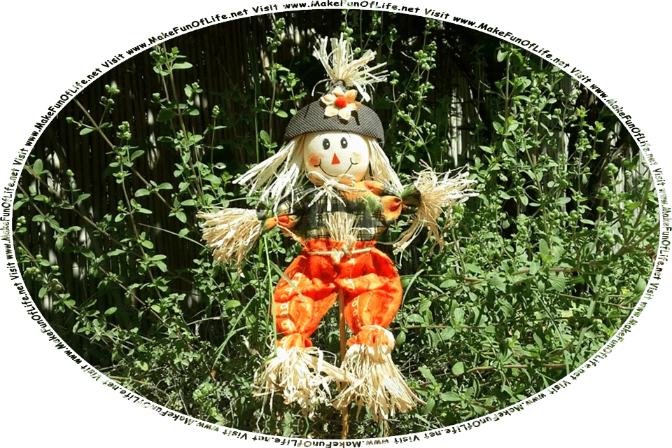 Picture of a small happy smiling straw-stuffed scarecrow attached to a pole, surrounded by green leafy plants, and the words, Visit www.MakeFunOfLife.net.