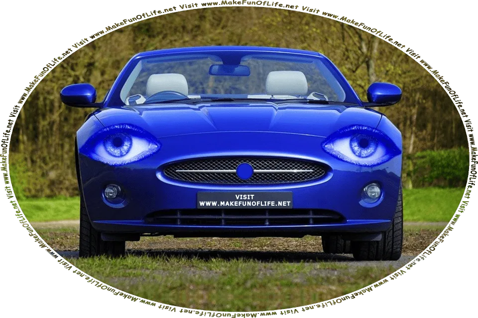 Picture of a small blue two-door convertible sportscar with eyes for headlights, and the words, Visit www.MakeFunOfLife.net printed on its front bumper.