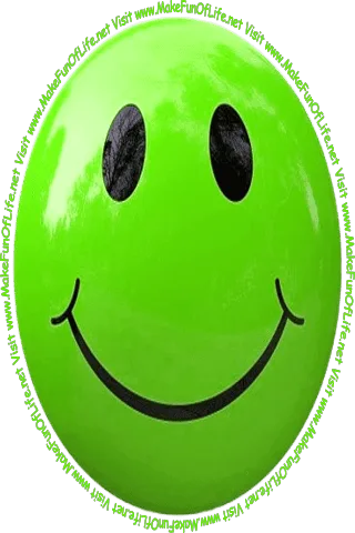 Picture of a smiley face and the words, ‘Visit www.MakeFunOfLife.net.’