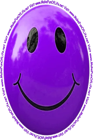 Picture of a pink smiley face and the words, 'Visit www.MakeFunOfLife.net.'
