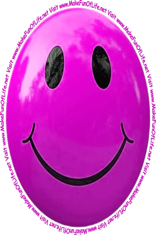 Picture of a smiley face and the words, ‘Visit www.MakeFunOfLife.net.’