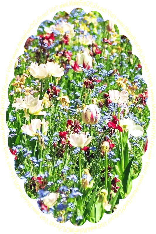 Picture of assorted flowering plants with dark green leaves and blossoms in colors including deep red, blue, and chiffon yellow, and the words, ‘Visit www.MakeFunOfLife.net.’