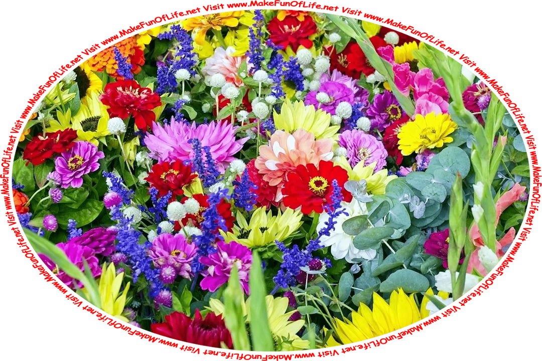 Picture of a variety of brightly colored flower blossoms, and the words, ‘Visit www.MakeFunOfLife.net.’