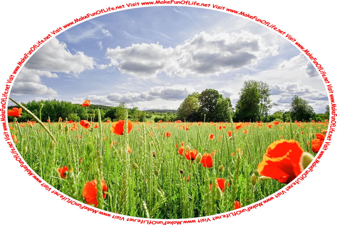 Picture of a large field of green wheat plants mixed with poppies with red blossoms, green leafy trees in the distance, a blue sky with large fluffy white clouds, and the words, ‘Visit www.MakeFunOfLife.net.’