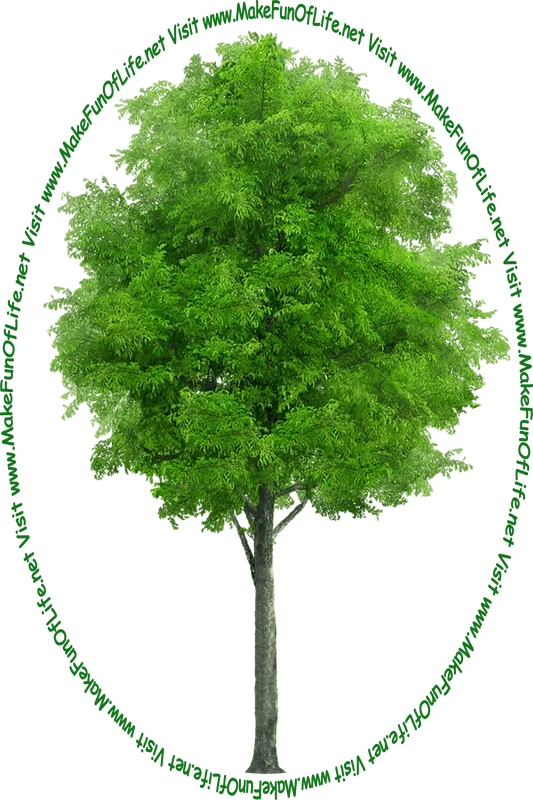Picture of a green leafy tree and the words, ‘Visit www.MakeFunOfLife.net.’