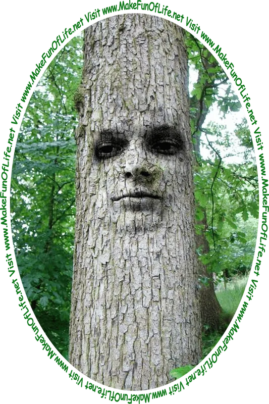 Picture of a tree trunk with a face on it looking at the words and pictures on the website, and the words, ‘Visit www.MakeFunOfLife.net.’
