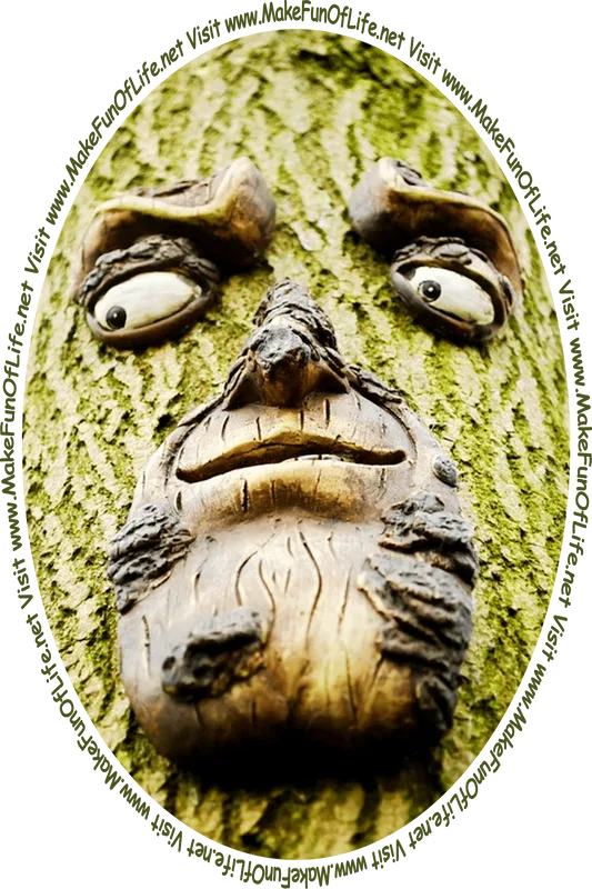Picture of a tree trunk with a face on it looking at the words and pictures on the website, and the words, ‘Visit www.MakeFunOfLife.net.’