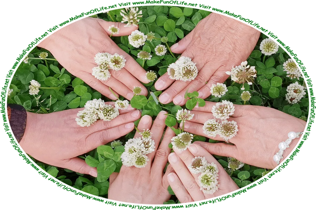 Picture of three people’s hands palms down on a bed of leafy green clover plants, with white clover blossoms on their plant stems poking up between the people’s fingers, and the words, ‘Visit www.MakeFunOfLife.net.’