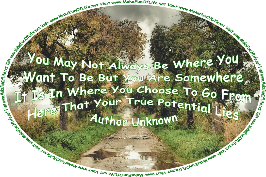 Picture of a road with large water puddles on it, bordered on both sides by green grass and trees, a darkly clouded sky overhead portending imminent rain, three birds flying under the clouds, and the words, You May Not Always Be Where You Want To Be But You Are Somewhere - It Is In Where You Choose To Go From Here That Your True Potential Lies -Author Unknown - Visit www.MakeFunOfLife.net.