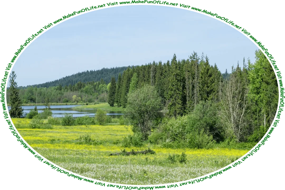 Picture of a wilderness area including a meadow filled with white and yellow flowering plants, evergreen trees, a calm blue lake, a clear blue sky, and the words, ‘Visit www.MakeFunOfLife.net.’