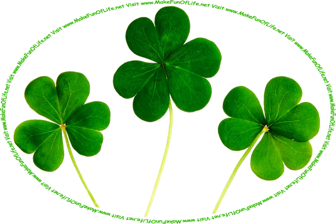 Picture of three three-lobed clover leaves with stems, and the words, ‘Visit www.MakeFunOfLife.net.’