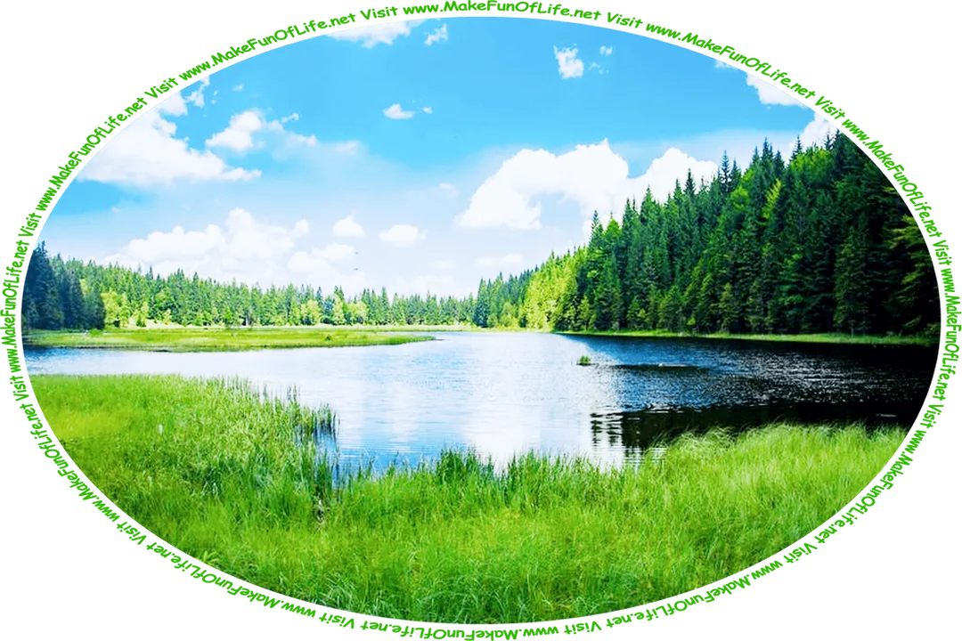 Picture of a lake in a wilderness, surrounded by thick green grass and evergreen trees, a blue sky with fluffy white clouds above, and the words, ‘Visit www.MakeFunOfLife.net.’