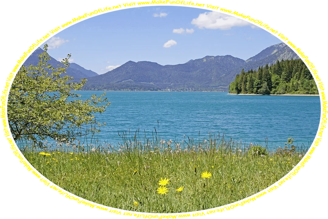 Picture of a wilderness area, with a serene blue lake, purple-hued mountains, pine trees, green grass, flowering plants with yellow and lavender blossoms, a clear blue sky with a few fluffy white clouds, and the words, ‘Visit www.MakeFunOfLife.net.’
