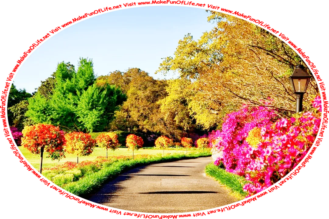 Picture of an asphalt-paved driveway bordered on both sides by flowering plants, with a blue sky above, and the words, ‘Visit www.MakeFunOfLife.net.’
