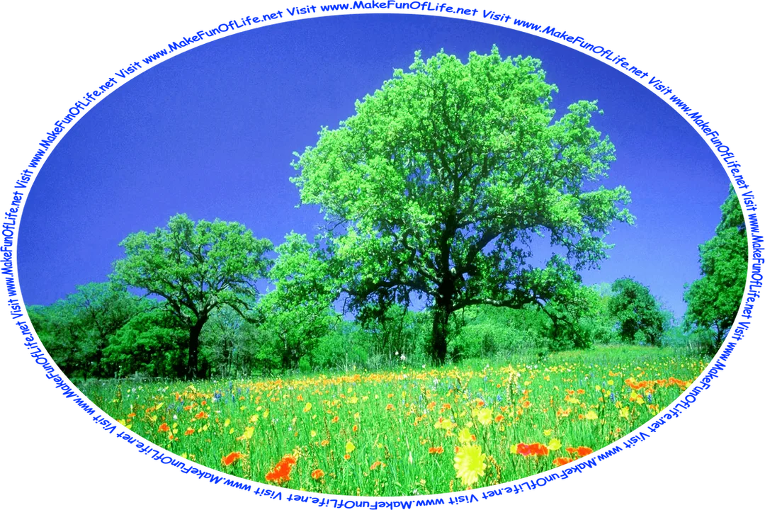 Picture of a meadow with red, yellow, and blue flowers, green leafy trees in the distance, a clear blue sky above, and the words, ‘Visit www.MakeFunOfLife.net.’
