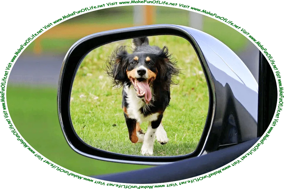Picture of a medium-size brown, black, and white dog with its tongue hanging out and running, seen from the sideview mirror of the moving car that the dog is chasing, and the words, ‘Visit www.MakeFunOfLife.net.’
