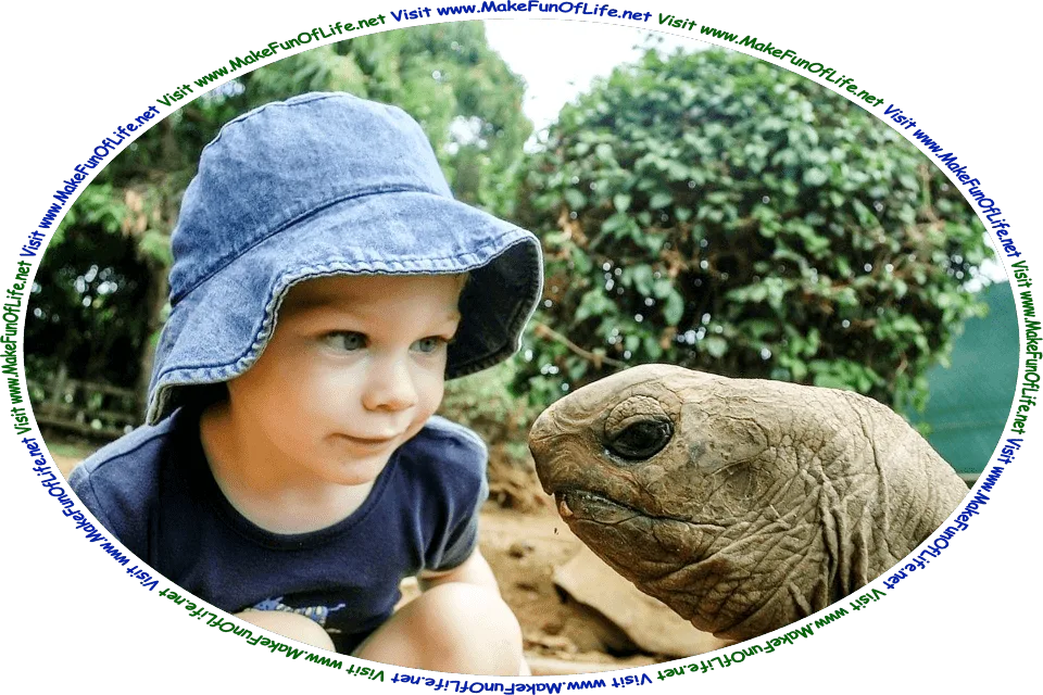 Picture of a boy and a turtle looking at each other, and the words, ‘Visit www.MakeFunOfLife.net.’